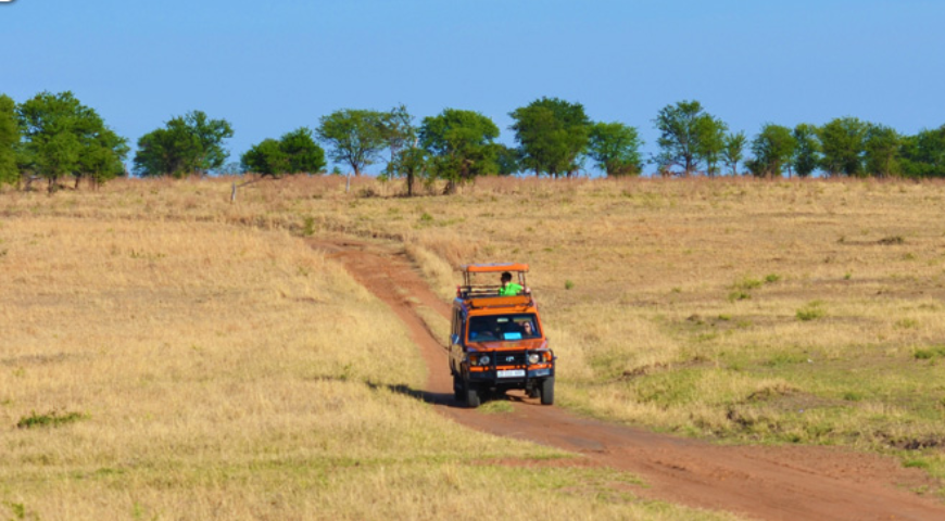 Racconti di viaggio Tanzania 