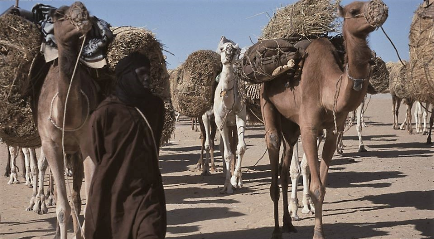 Sensazioni da un viaggio nel Deserto