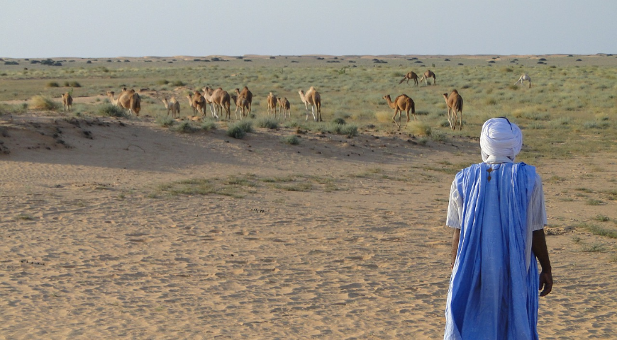 Le Biblioteche nel deserto della Mauritania 