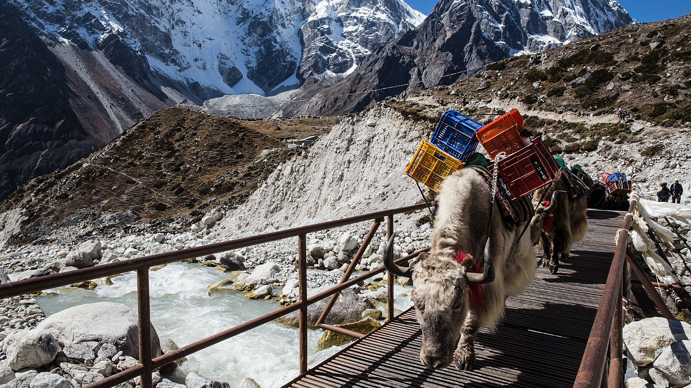 Trekking Everest Base Camp