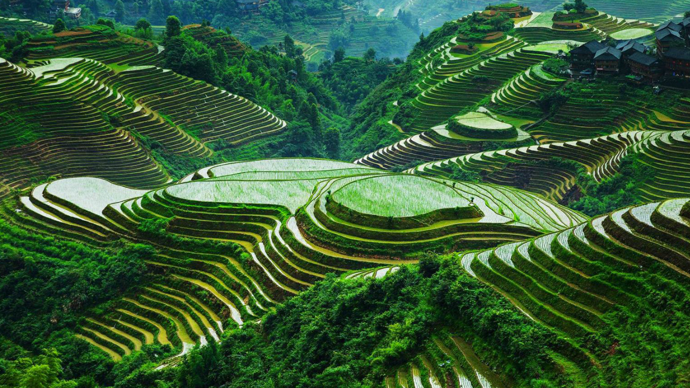 Viaggi di Gruppo Le Riserve Marine e Banaue