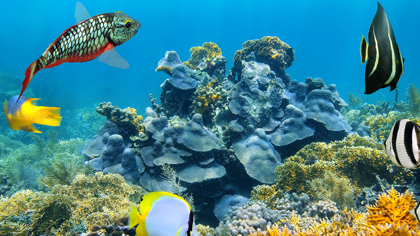 Viaggi di Gruppo Guatemala Maya & Reef