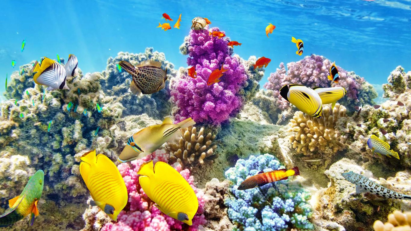 Viaggi di Gruppo Guatemala Maya & Reef