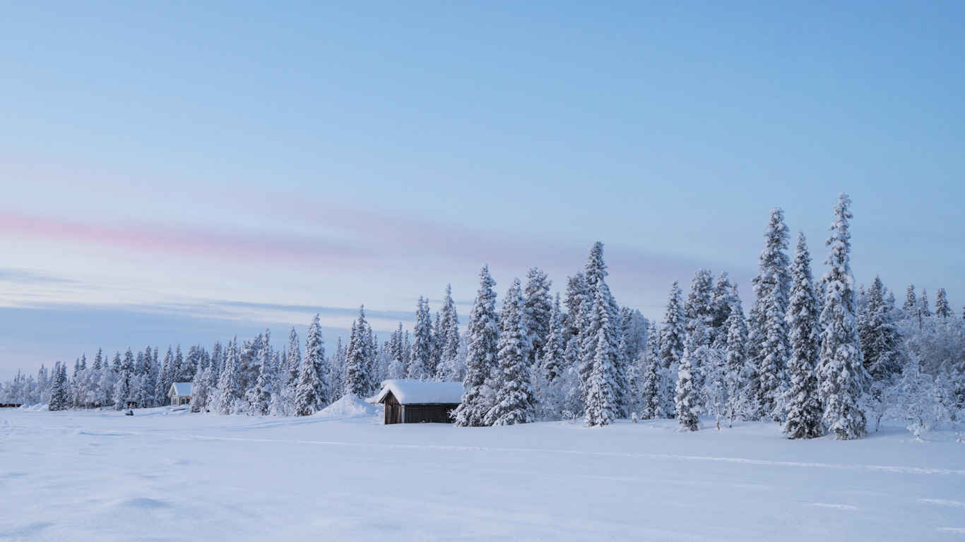 Viaggi di Gruppo Lapponia e Aurore Boreali