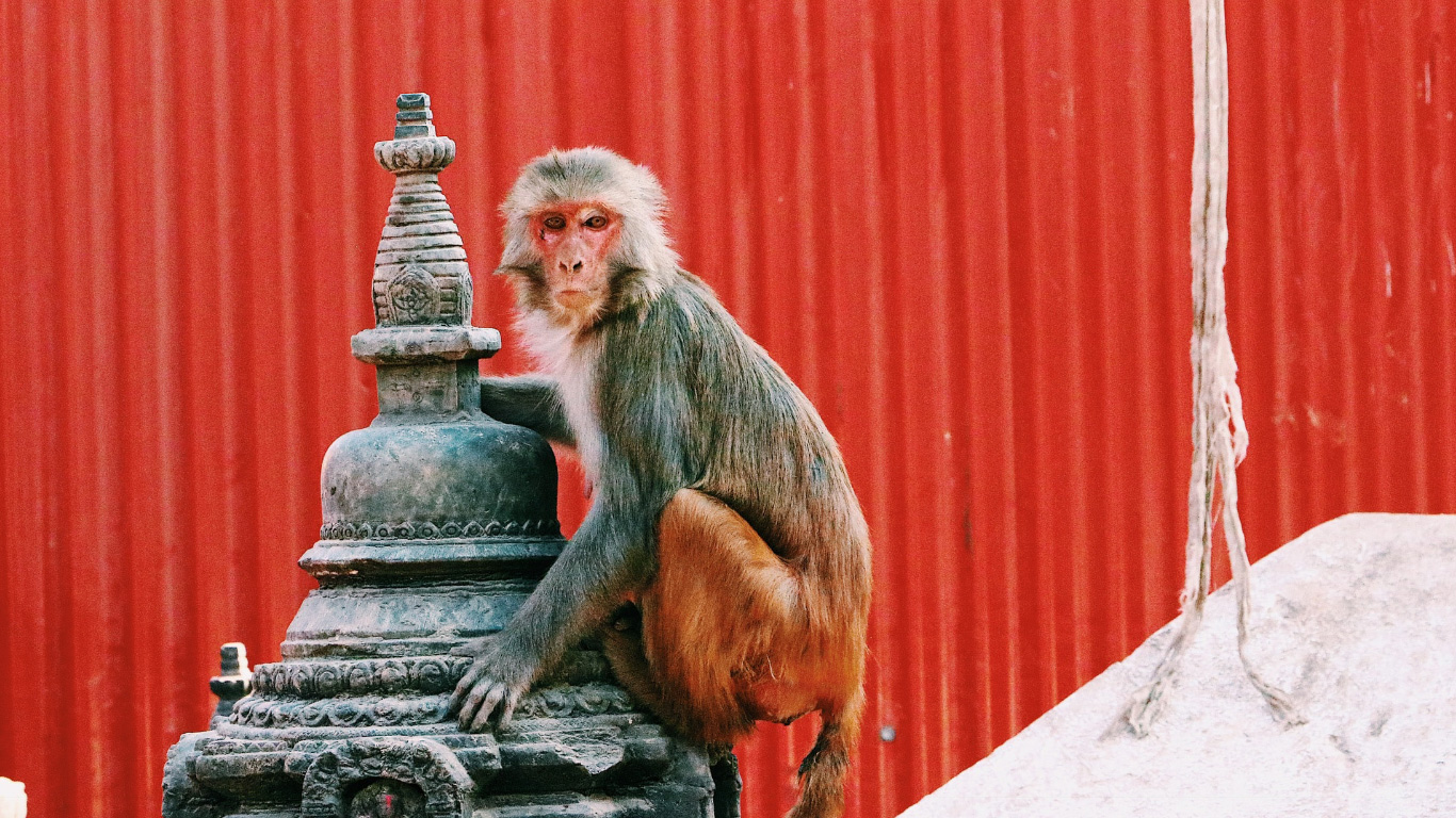 Viaggio di gruppo in Nepal