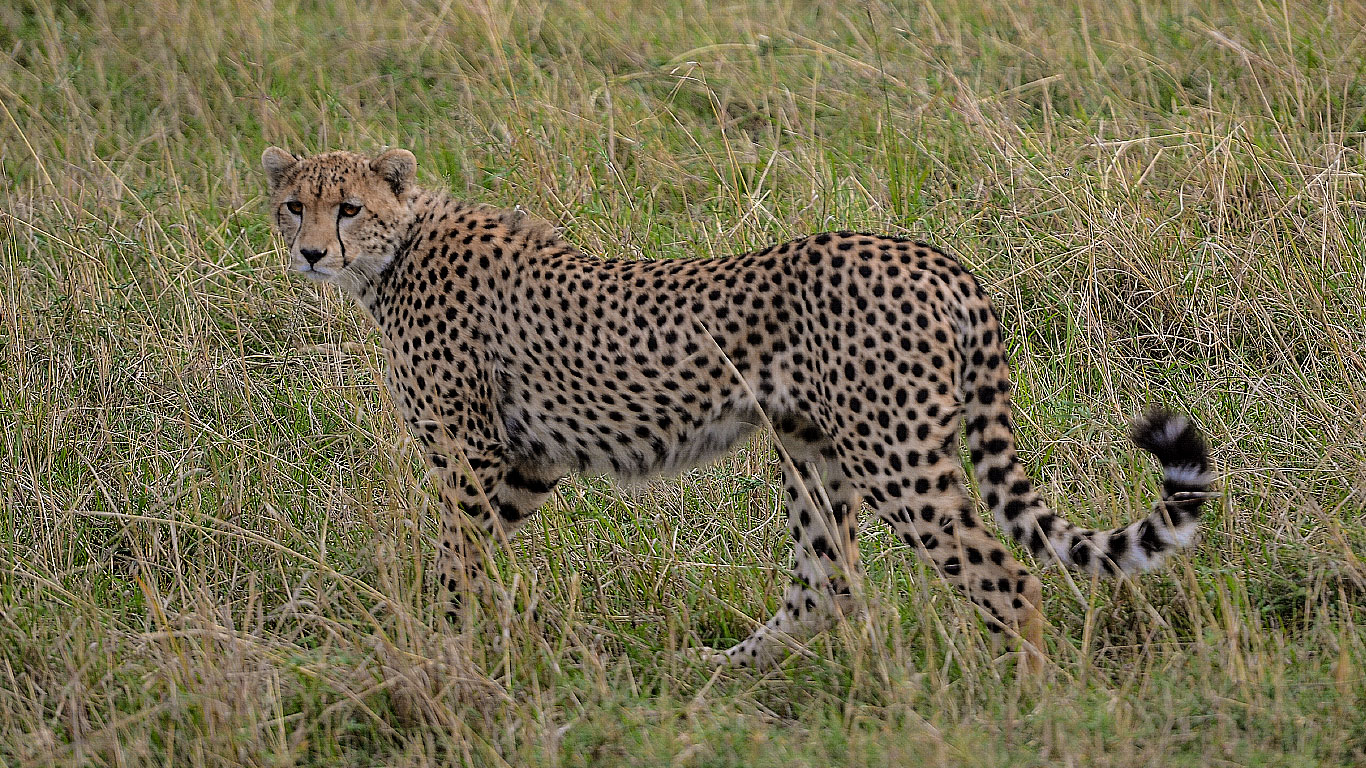 viaggi avventura tanzania