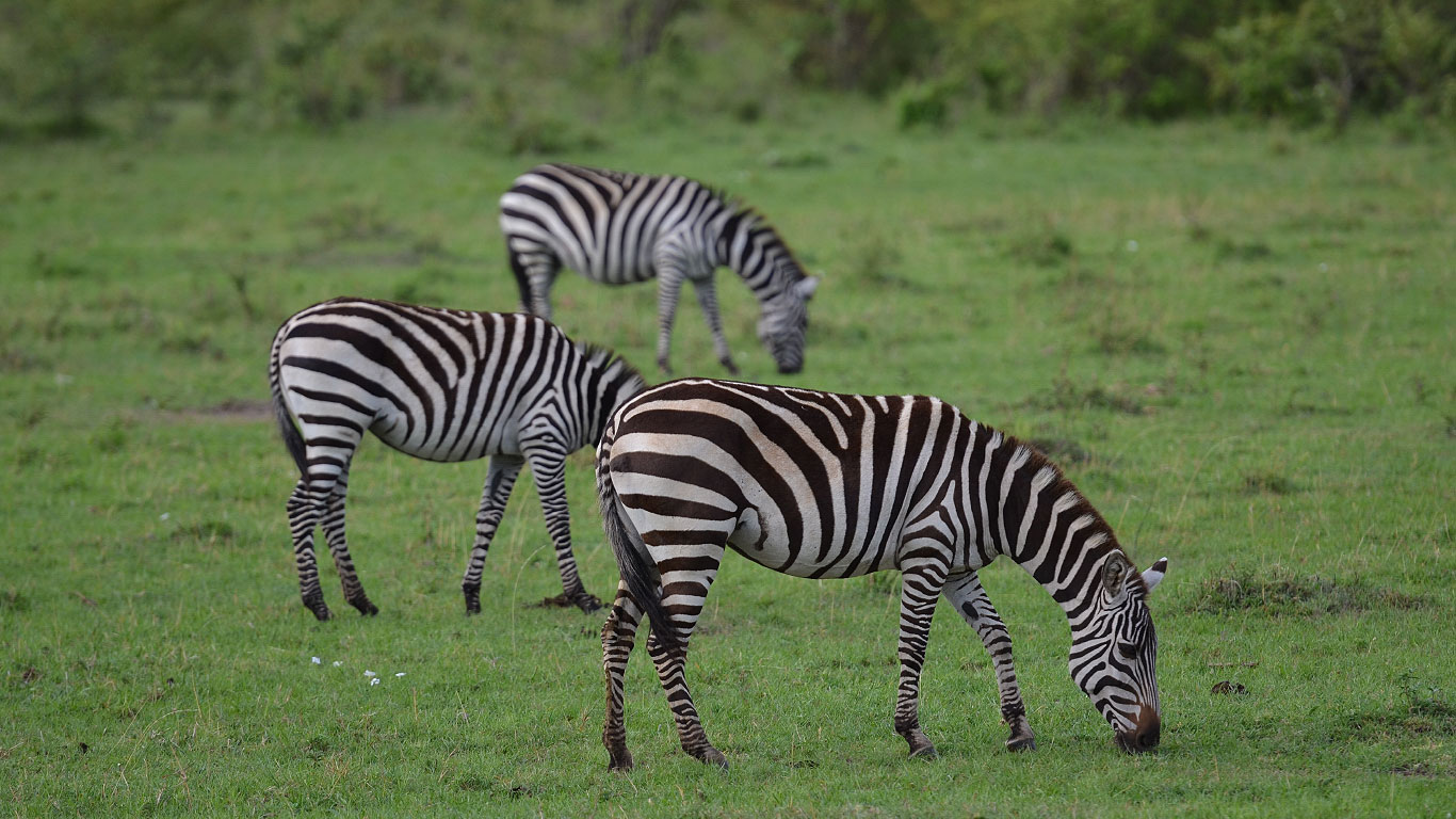 viaggio di gruppo tanzania