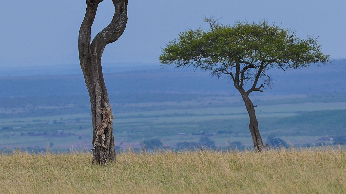 avventure nel mondo tanzania