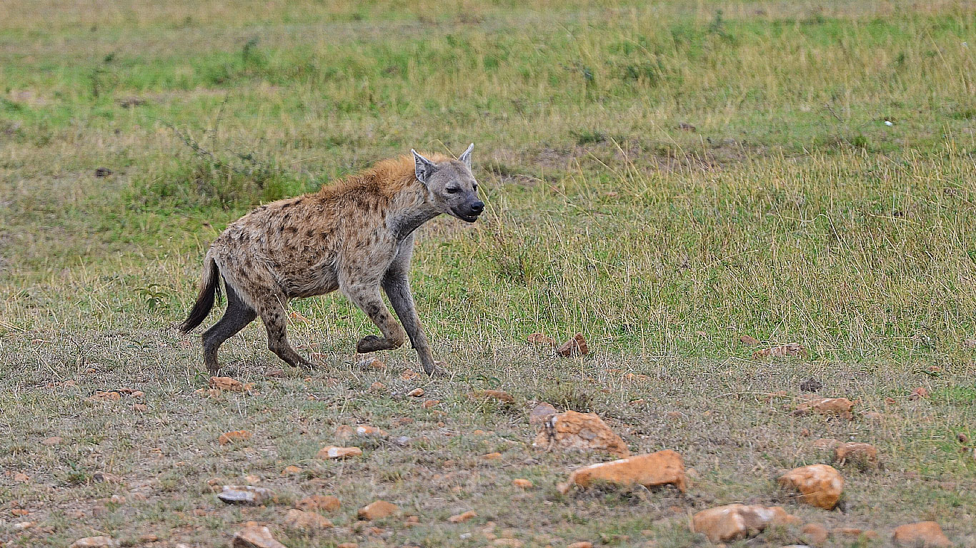 viaggio di gruppo tanzania