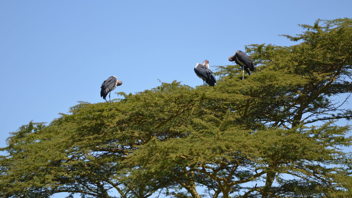 viaggio di gruppo tanzania