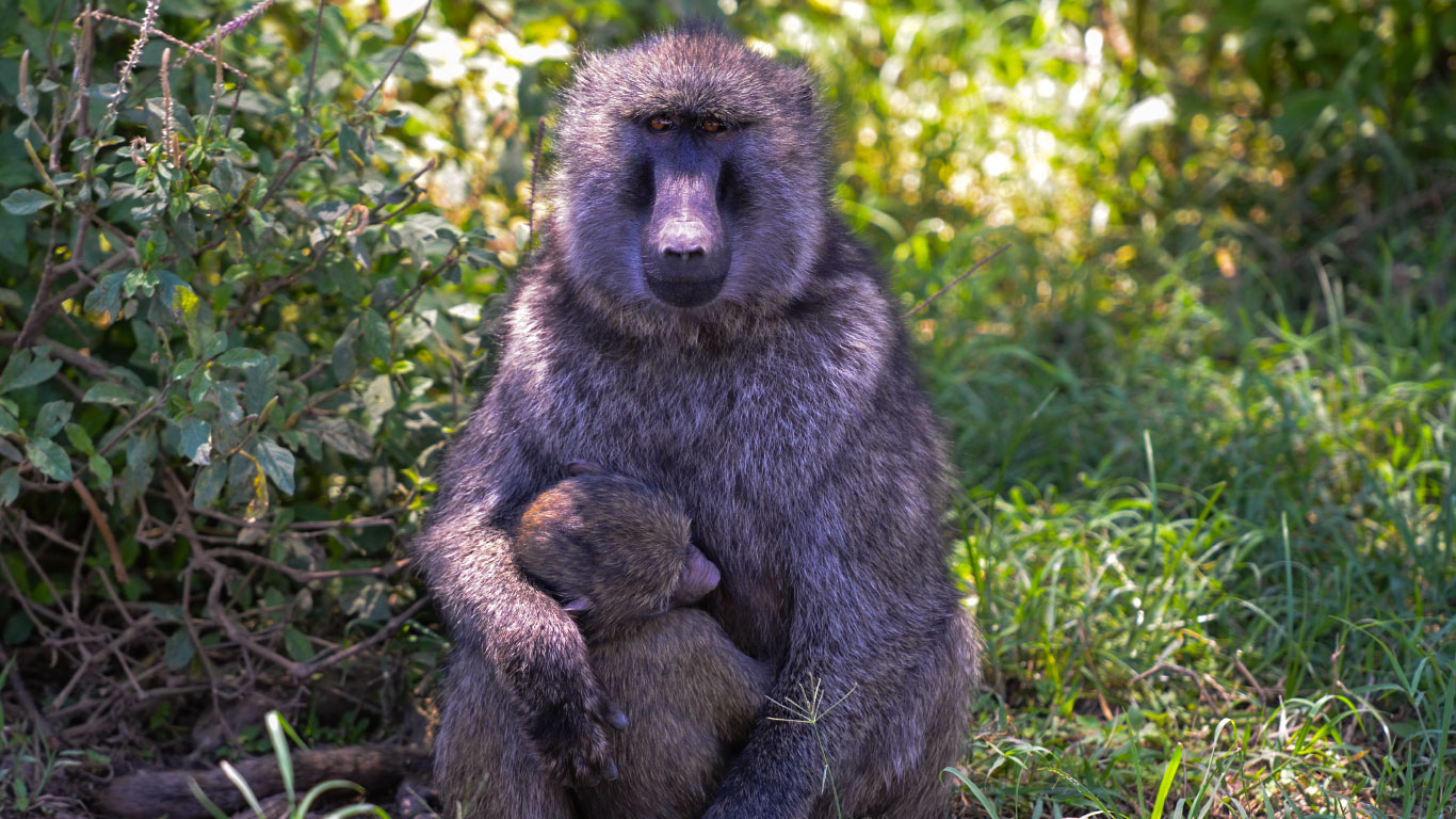 viaggio di gruppo tanzania