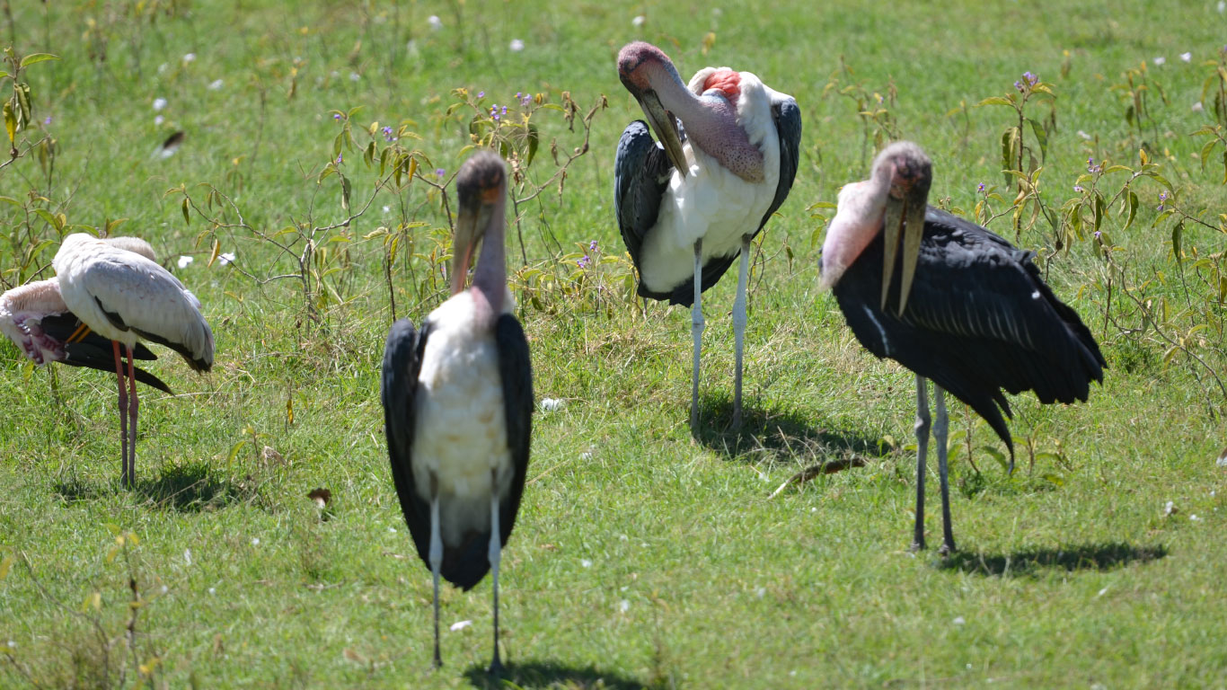 viaggi avventura tanzania