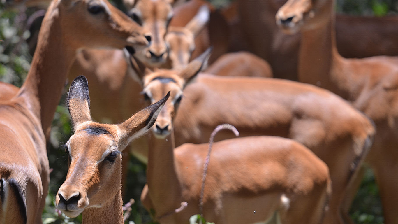 viaggio di gruppo tanzania