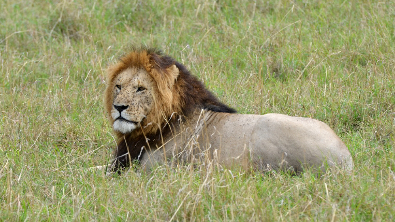 viaggio di gruppo tanzania