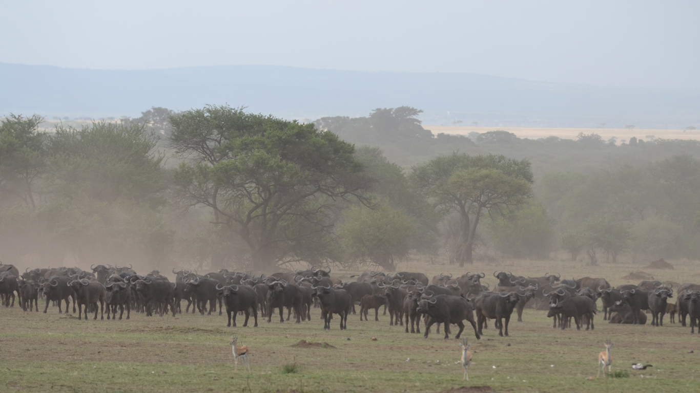 avventure nel mondo tanzania