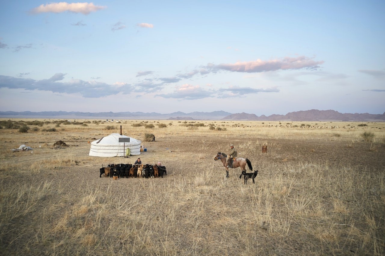 viaggio di gruppo in mongolia