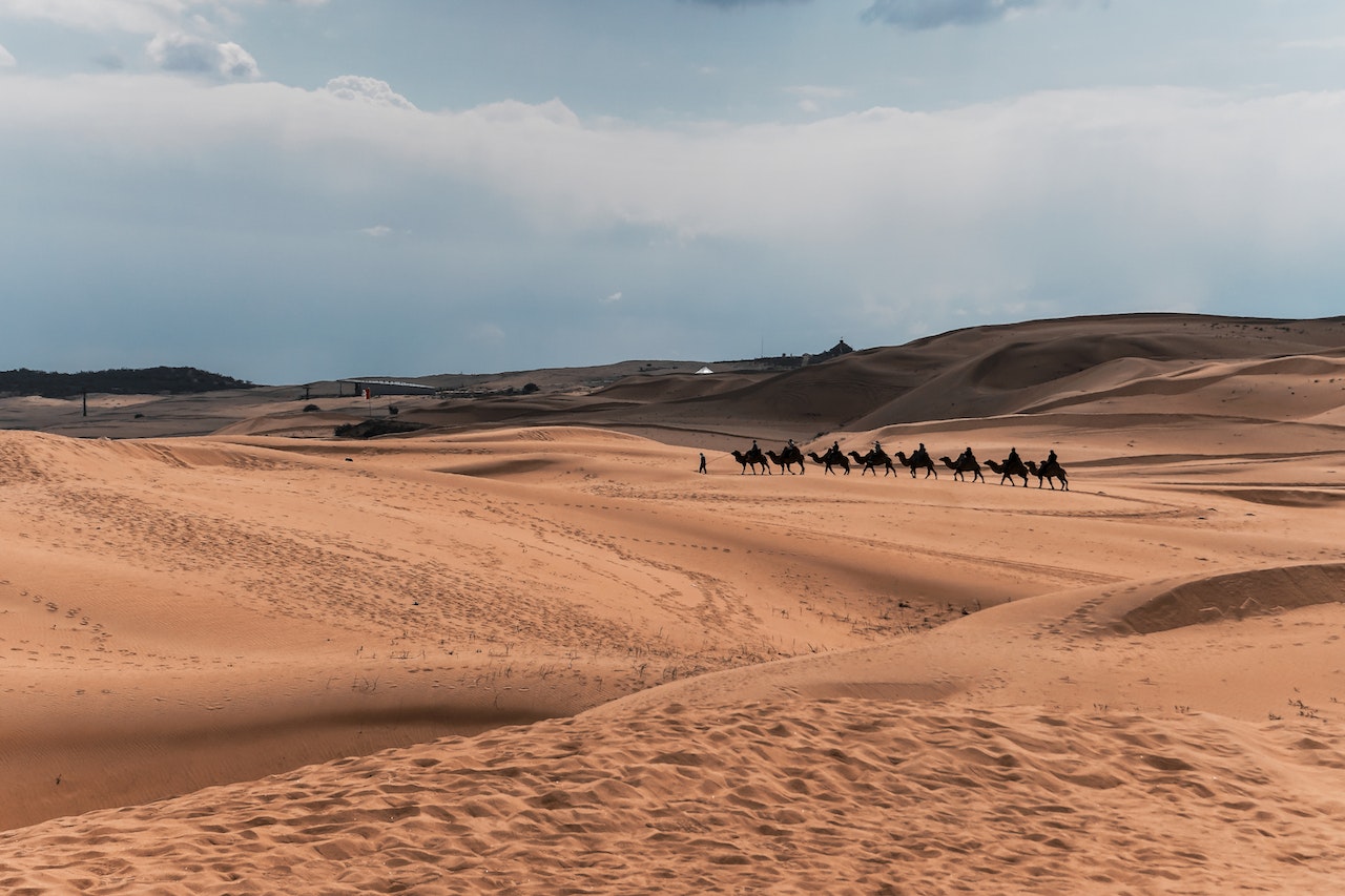 avventure nel mondo mongolia