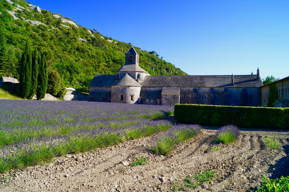 viaggio di gruppo in provenza