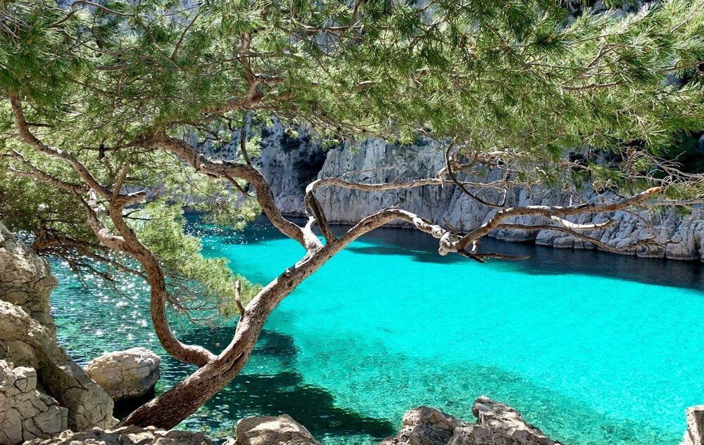 viaggio di gruppo in provenza